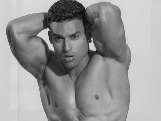 Se dtaljerede oplysninger for Adonisartemis3