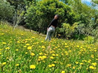 Detaillierten Steckbrief von AluDamn ansehen