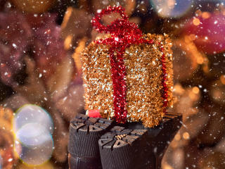 RoseNicholsの詳細情報を見る