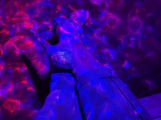 Vedere il profilo completo di Siyana