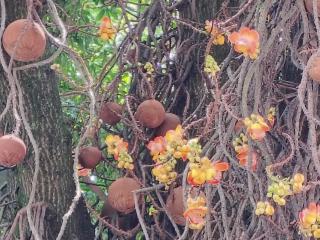 Xem hồ sơ đầy đủ của AmyStreetwise69