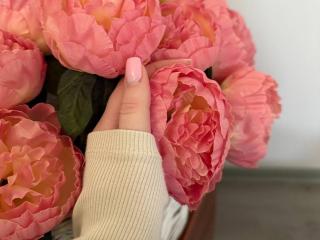 Yksityiskohtaiset tiedot mallista Diantrisy