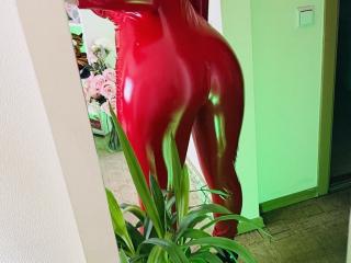 Ver a ficha detalhada de Trima