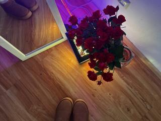 Ver la ficha detallada de Innysik