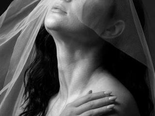 Ver la ficha detallada de Limina