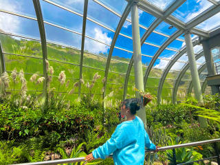 Ver la ficha detallada de SophieSonyas