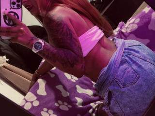 Ver la ficha detallada de NicolForest