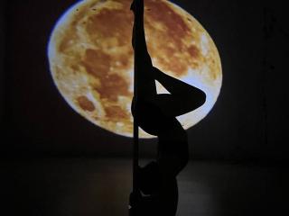 Ver la ficha detallada de Dreia