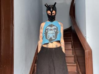 Se dtaljerede oplysninger for AmySpider
