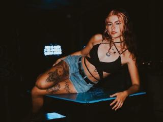 См. подробные сведения о модели ScarletBlazeX