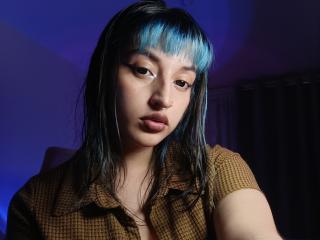 См. подробные сведения о модели CatBleu
