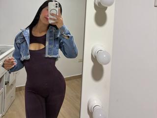 См. подробные сведения о модели LaurentRay