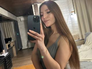 См. подробные сведения о модели MayPayer