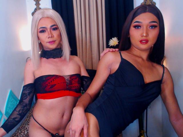 TwoWildSexDriverTs - Sexe cam en vivo - 10216103