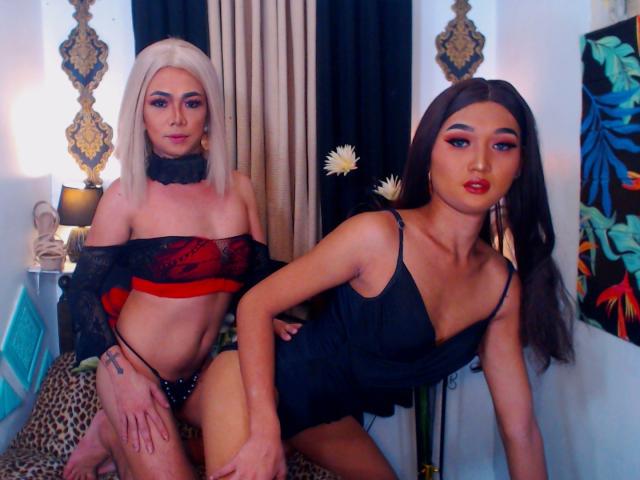 TwoWildSexDriverTs - Sexe cam en vivo - 10216107