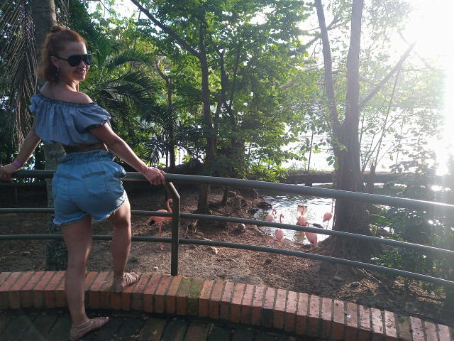 ElizaJones has a cute ass, wearing a blue off-shoulder top and denim shorts, standing on a brick walkway, looking over a metal railing with a small dog.