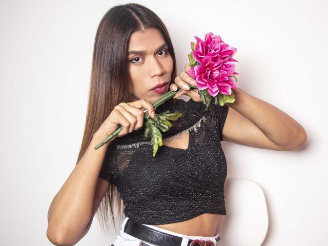 AndryKisses - Live sexe cam - 11342962