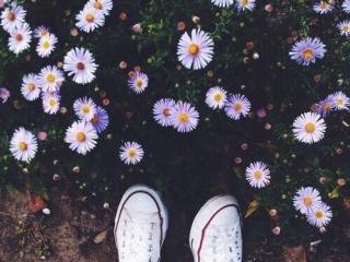 Formidable - Live porn &amp; sex cam - 11489312