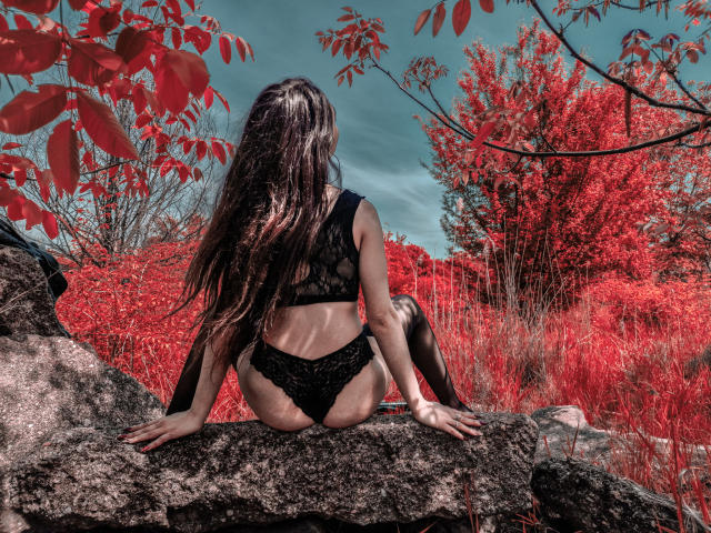 AshlyChloe è seduta su una roccia, con la schiena rivolta verso la telecamera, indossa mutandine e reggiseno di pizzo neri, ha lunghi capelli castani, sullo sfondo si vedono foglie rosse e un cielo blu, e guarda in avanti..