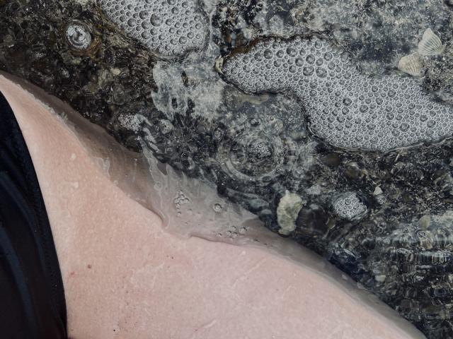 Solleil - Live sex cam - 12696008