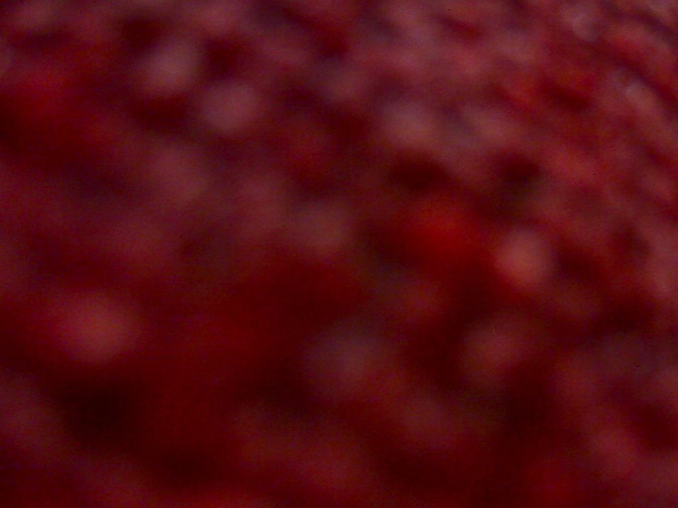 Blurry red and brown boobs, with soft focus and a textured surface, creating an abstract, somewhat indistinct visual. The image has a warm, somewhat dark tone.