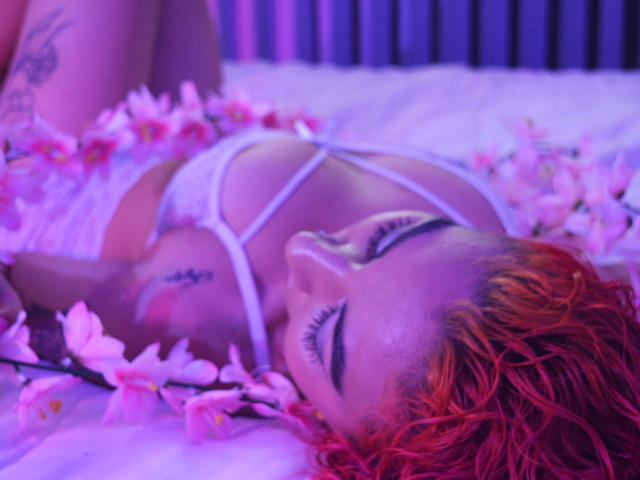 AdaSexy - сексуальная веб-камера в реальном времени - 13895464