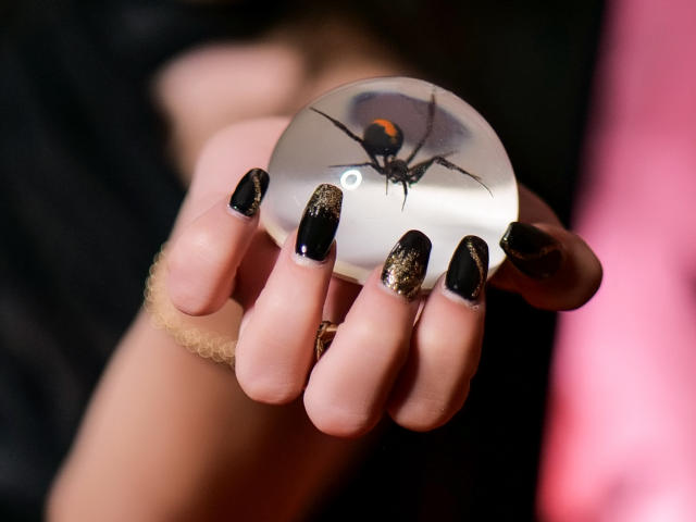 AshlyChloe - Live porno og sexkamera - 14103548