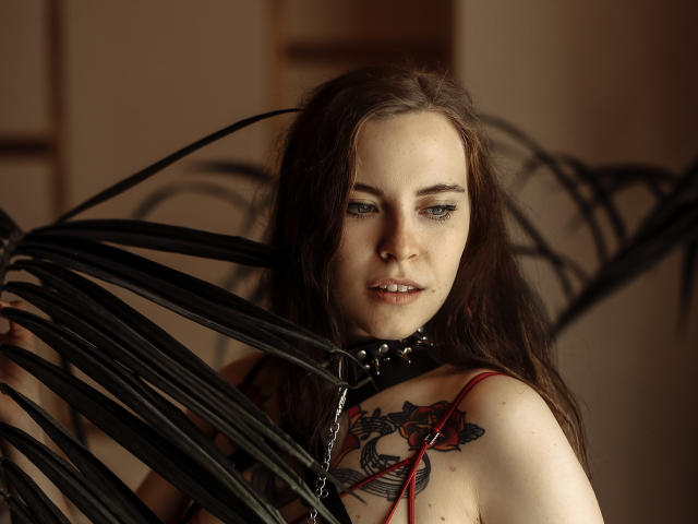 VeronikaMai - Sexe cam en vivo - 14195416