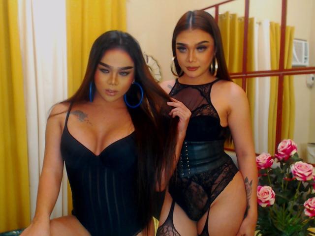 SeductiveDuoTs - Sexe cam en vivo - 14684534