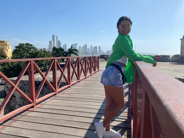 SkyRose - פורנו בשידור חי ומצלמת סקס - 14735494