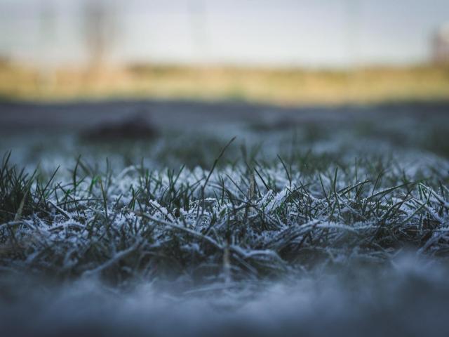 test - Live porn &amp; sex cam - 14750638