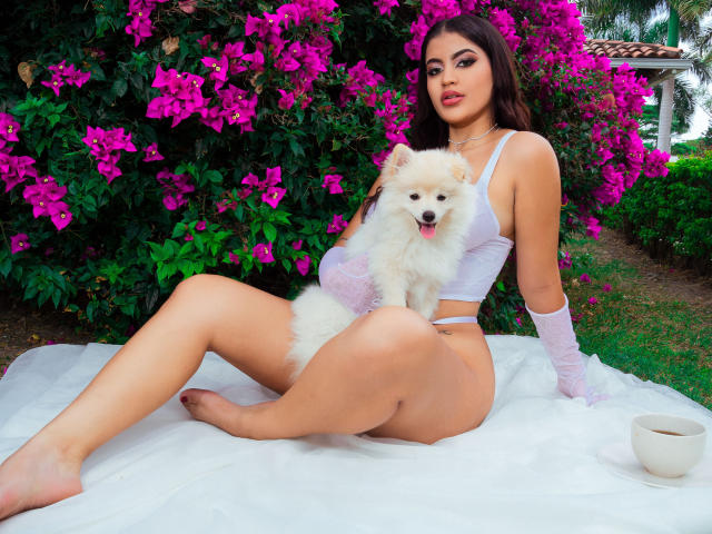 SammyNells - Live Sex Cam - 15568196