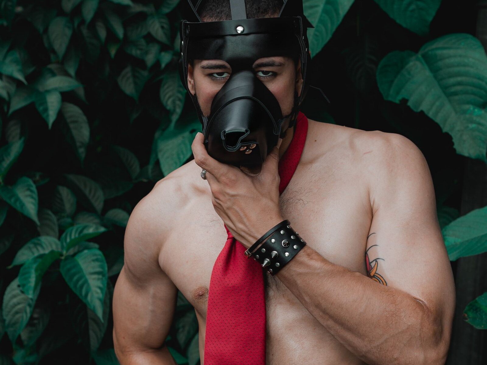 ApoloHoffman, shirtless, wearing a black leather mask, red tie, and black wrist cuffs, gripping the mask with a tattooed arm, showing a muscular, hairy chest.