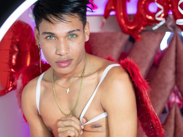 Diaval - сексуальная веб-камера в реальном времени - 16141814