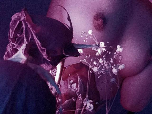 StellaParkerr - Live Sex Cam - 16223350