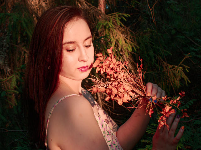 Digital art of a simplified, stylized coat of arms with a central red flame-like emblem, surrounded by a white border. Bold, flat colors with minimal shading. No text.