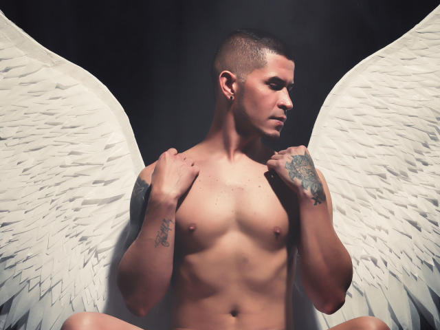 DavidStark - Live sex cam - 16713290