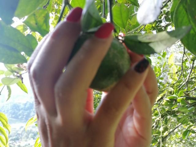 VioletaSwitch - Live sexe cam - 16785890