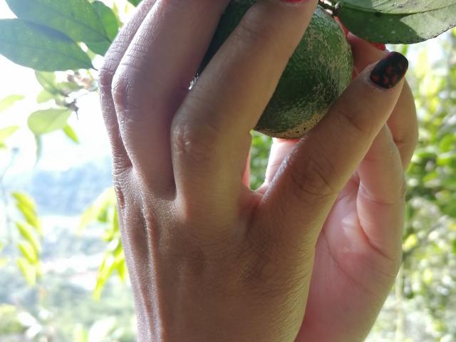 VioletaSwitch - Live porn &amp; sex cam - 16803222