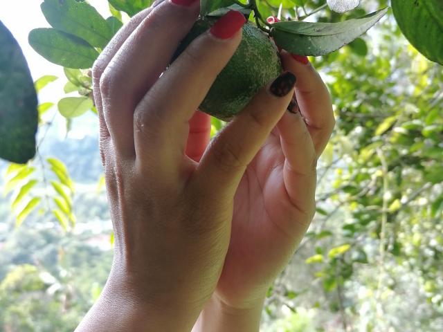 VioletaSwitch - Live porn &amp; sex cam - 16873526