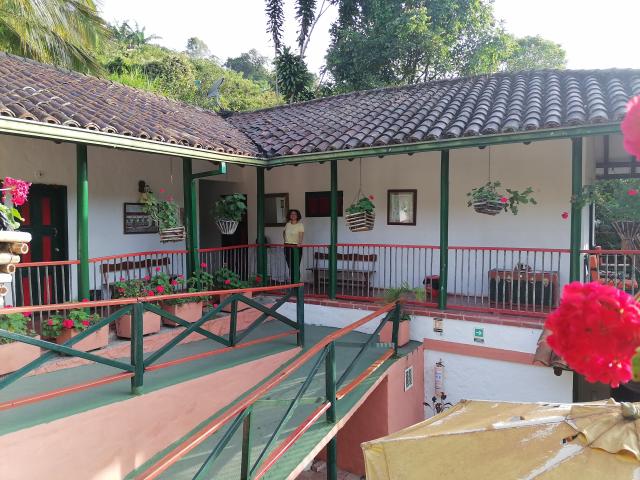 VioletaSwitch - Camera khiêu dâm &amp; quyến rũ trực tiếp - 16874426