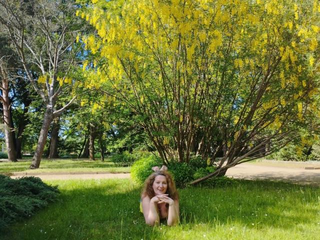 AriaxKiss con lunghi capelli rossi ricci, sdraiata sull'erba, sorridente, mani sotto il mento, un albero giallo sopra, sfondo di foresta verde, illuminata dal sole, rilassata, carina, bellezza naturale, all'aperto..