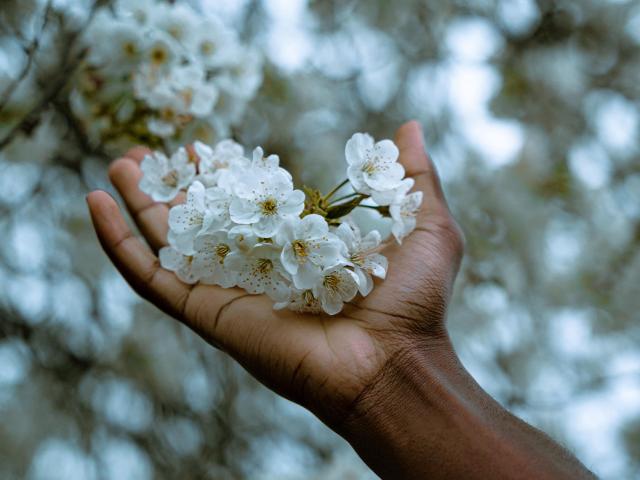 SoniaTestX - Live porn &amp; sex cam - 16944978