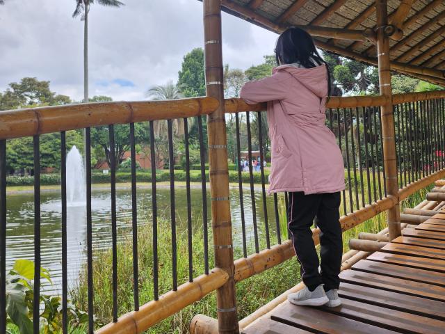 AlanaMoneth with black hair, pink jacket, black pants, white sneakers, leaning on bamboo railing, looking at water fountain, standing on wooden deck, overcast sky, tropical park.