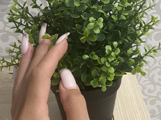 ImAmelie - Live porno og sexkamera - 17122542