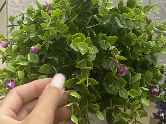 ImAmelie - Live porn &amp; sex cam - 17122606