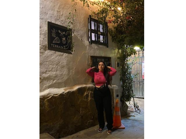 AntonnelaTyler with long brown hair, pink sweater, black pants, standing with hands in hair, orange traffic cone, rock wall, dark wall signs, vines, and metal gate in background.