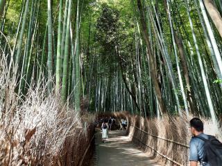 SuperbissimaTroiana - сексуальная веб-камера в реальном времени - 17282910