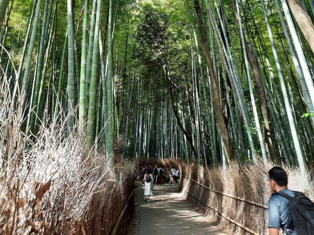 SuperbissimaTroiana - сексуальная веб-камера в реальном времени - 17282910