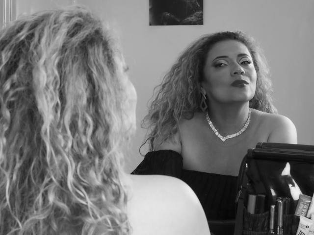 A digital illustration of a European-style coat of arms with a large, bold "V" in the center. The "V" is filled with a dark, muted red. Clean, flat colors.